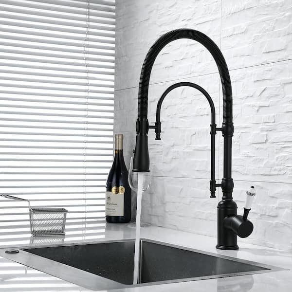 21 in. H 360° Spout Swivel 1-Handle Pull Down Sprayer Kitchen Faucet 1-Hole Faucet w/ 2-Setting Spray in Matte Black
