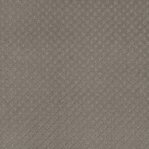 Camelia Lane - Eastman - Beige 28 oz. SD Polyester Loop Installed Carpet