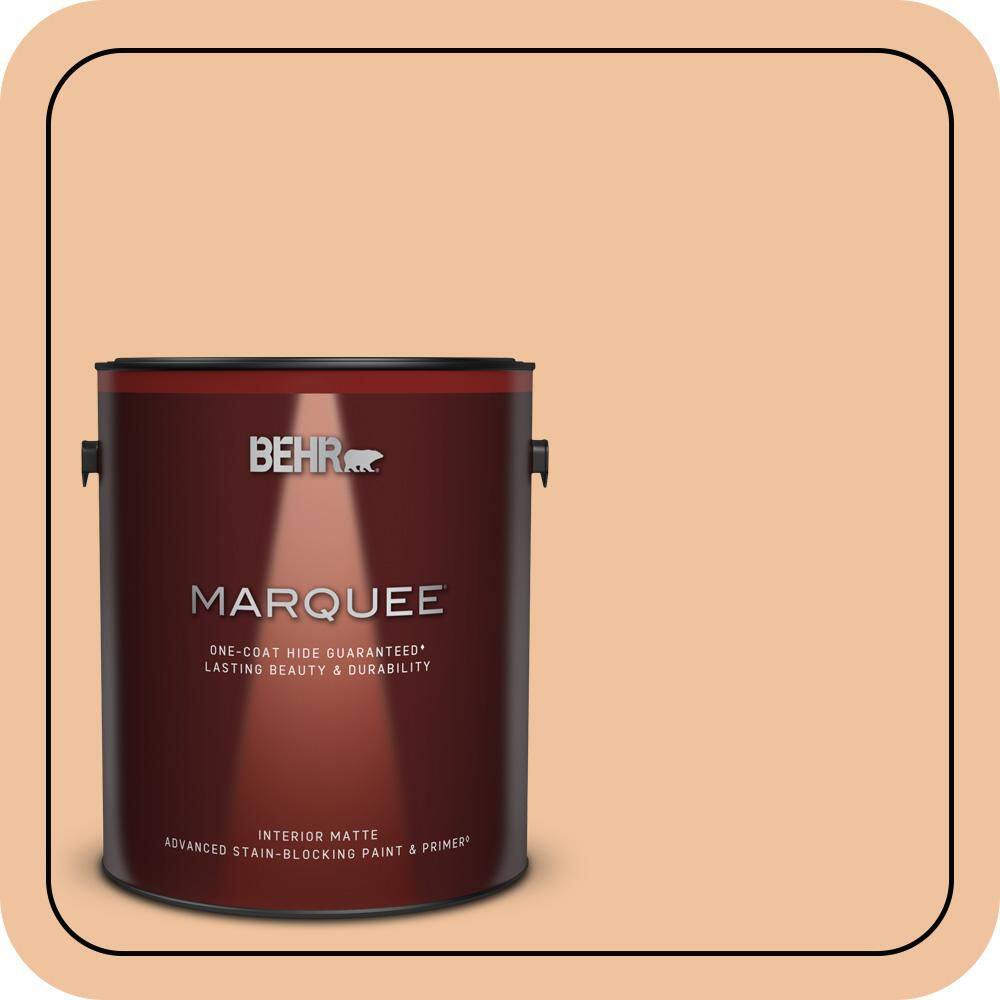 1 gal. #M220-3 Carving Party Matte Interior Paint & Primer price history on PriceWatchPro
