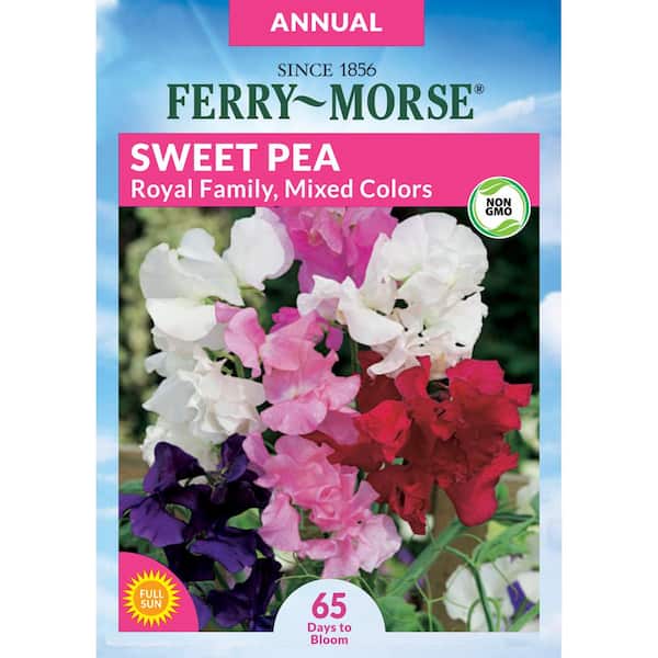 Ferry-Morse Sweet Pea Royal Family Mixed Colors Flower Seeds
