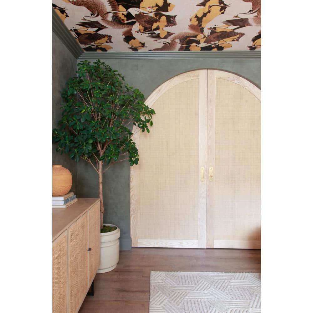 Primed White Wood Crown Moulding, 96" Length, 5.5" Width
