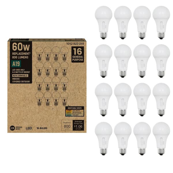 60-Watt Equivalent A19 Non-Dimmable CEC LED Light Bulb with Selectable Color Temperature (16-Pack)