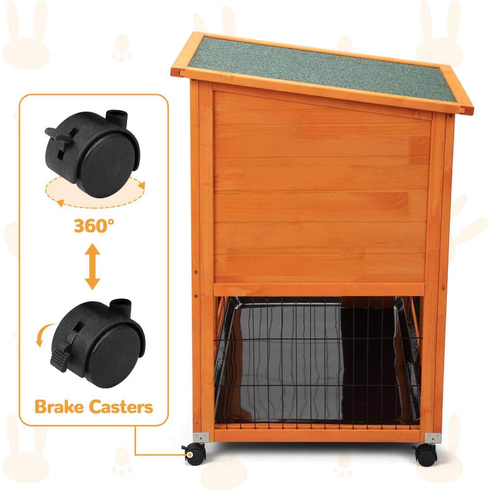 Orange Pine Two-Story Chicken Coop with Asphalt Roof