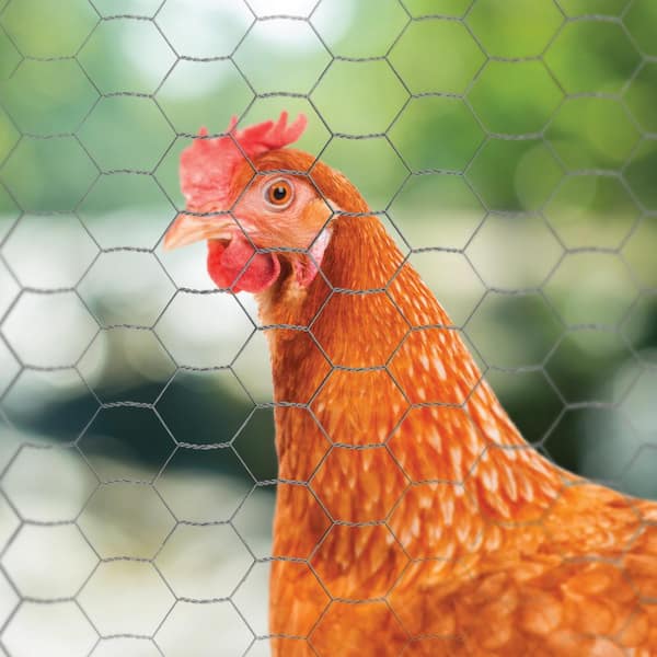 YARDGARD 150 Ft. X 1 Ft. Poultry Netting With 1 In. Mesh At