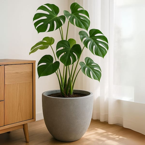 Dahlia Modern 21.5 in. Aged Concrete Fiberstone and Clay Tapered Round Planter for Indoor and Outdoor