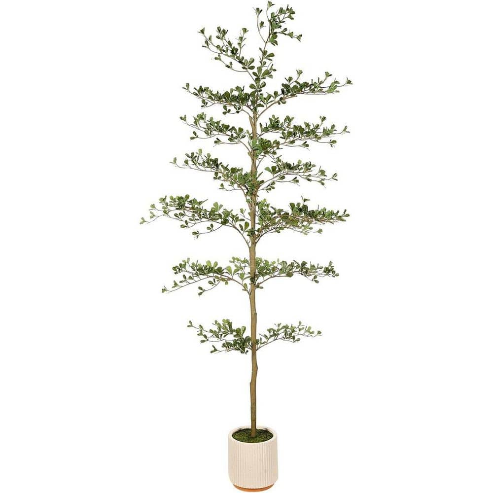 ☆tree☆ページ 7 ft. Artificial Black Olive Tree Shady Lady with Realistic Trunk