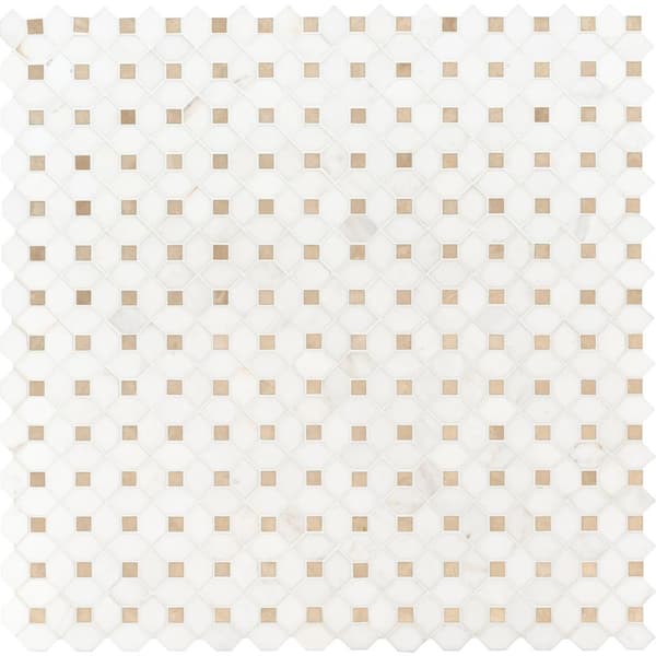 MSI Take Home Tile Sample - Bianco 6 in. x 6 in Dolomite Crema Dotty Polished Marble Mosaic Tile