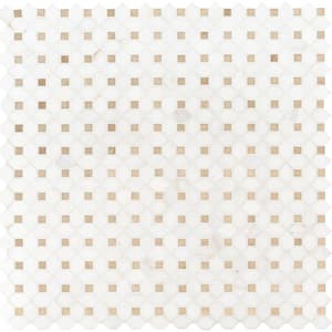 Take Home Tile Sample - Bianco 6 in. x 6 in Dolomite Crema Dotty Polished Marble Mosaic Tile
