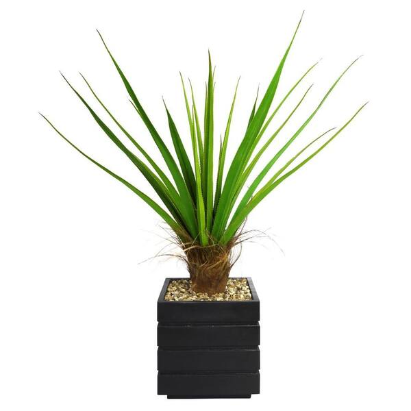 Laura Ashley 50 in. Tall Agave Plant with Cocoa Skin in 14 in. Fiberstone Planter