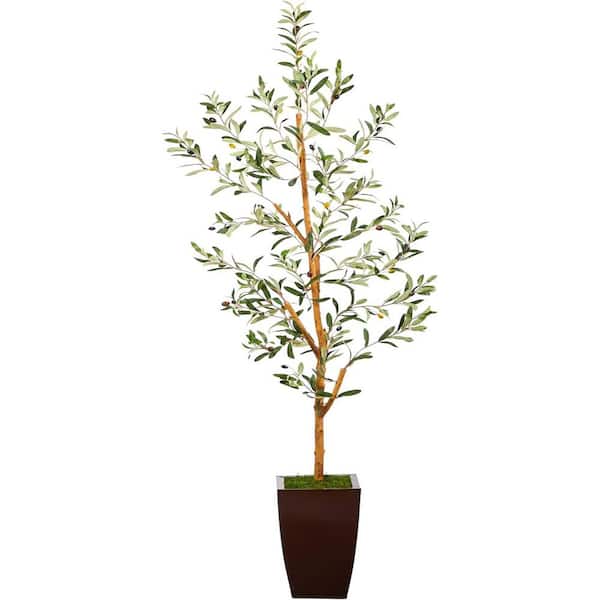 5.5 ft. Artificial Olive Tree in Brown Planter, Artificial Indoor Home Decor Plant