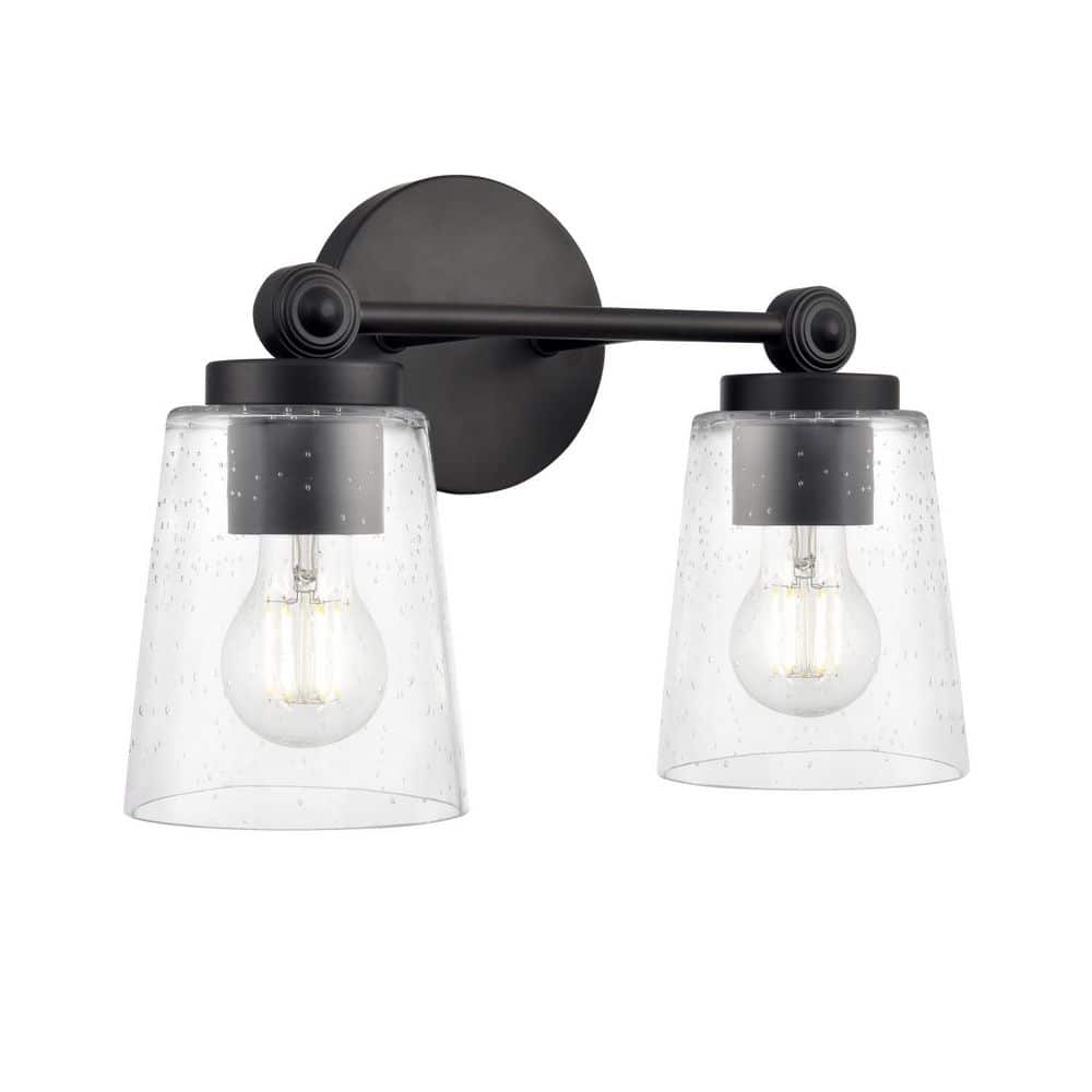 Lauryn 13.5 in. 2-Light Matte Black Vanity Light with Clear Glass Shades price history on PriceWatchPro