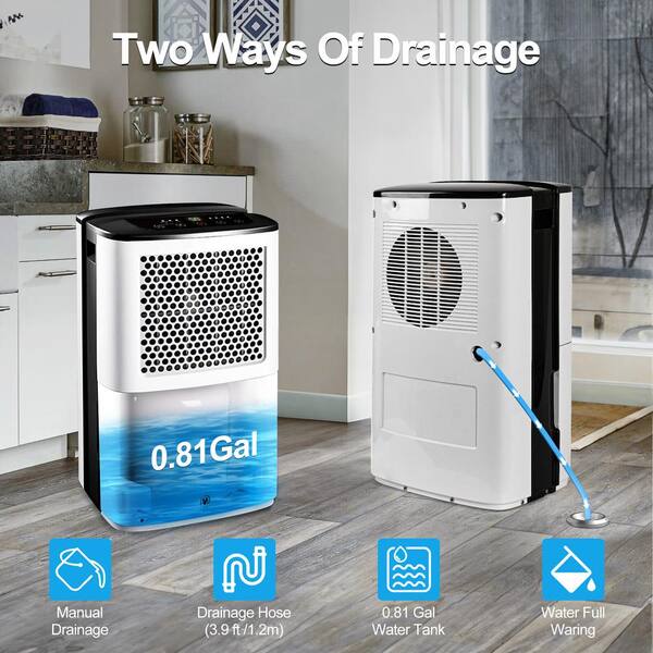 Edendirect 38 pt. 2000 sq. ft. Dehumidifier with Bucket and
