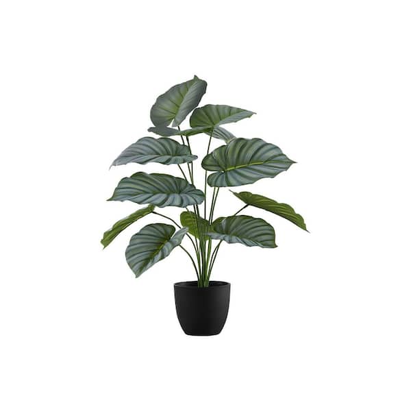 Racxily 24 in. Indoor Artificial Calathea Plant in Pot