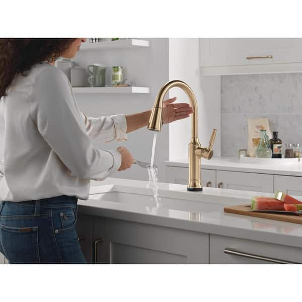 Delta Renaldi Gold Touch2O w/ Touchless Technology Single Handle