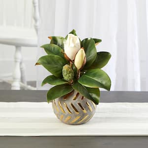 12 in. Magnolia Artificial Plant in Planter with Gold Trimming