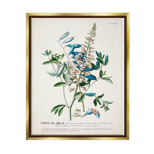 The Stupell Home Decor Collection Botanical Plant Illustration Flowers And Leaves by World Art Group Floater Frame Nature Wall Art Print 31 in. x 25 in. .