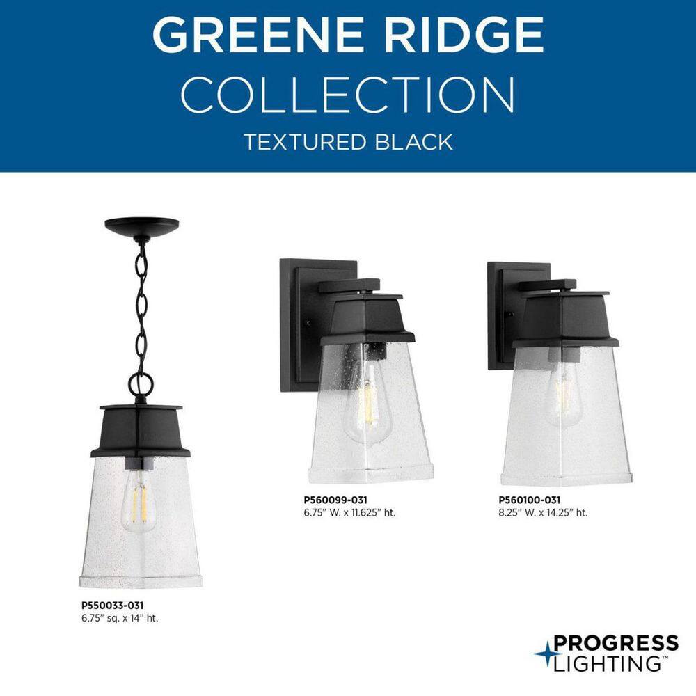 Greene Ridge Black Steel Outdoor Wall Lantern with Clear Shade
