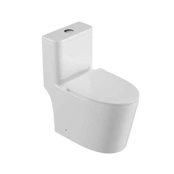 RAINLEX 12 in. 1-Piece 1.0/1.6 GPF Dual Flush Elongated Toilet in White Seat Included