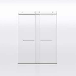 60.04 in. W x 76 in. H Sliding Frameless Shower Door with Tempered Glass, Brushed Nickel