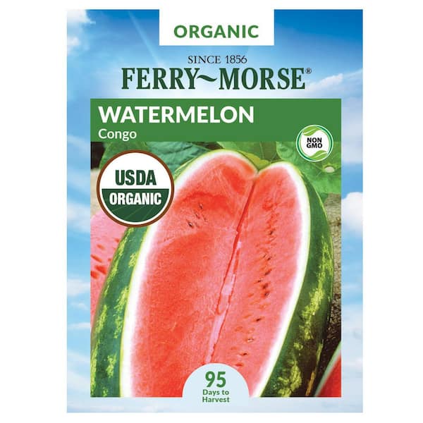 Ferry-Morse Watermelon Congo Organic Seed