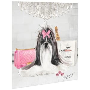 "Pink Shih Tzu" Unframed Free Floating Tempered Glass Panel Graphic Dog Animal Wall Art Print 20 in. x 20 in.
