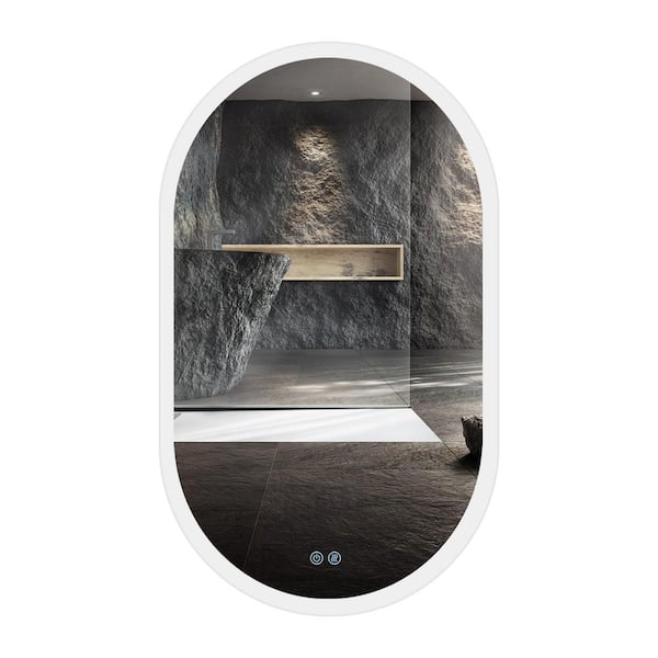 Unbranded Bailey 24 in. W x 40 in. H Large Oval Frameless Dimmable Wall Mount Bathroom Vanity Mirror in Silver