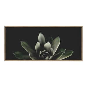 Salutation by F2Images Framed Nature Canvas Wall Art Print 40.00 in. x 18.00 in.