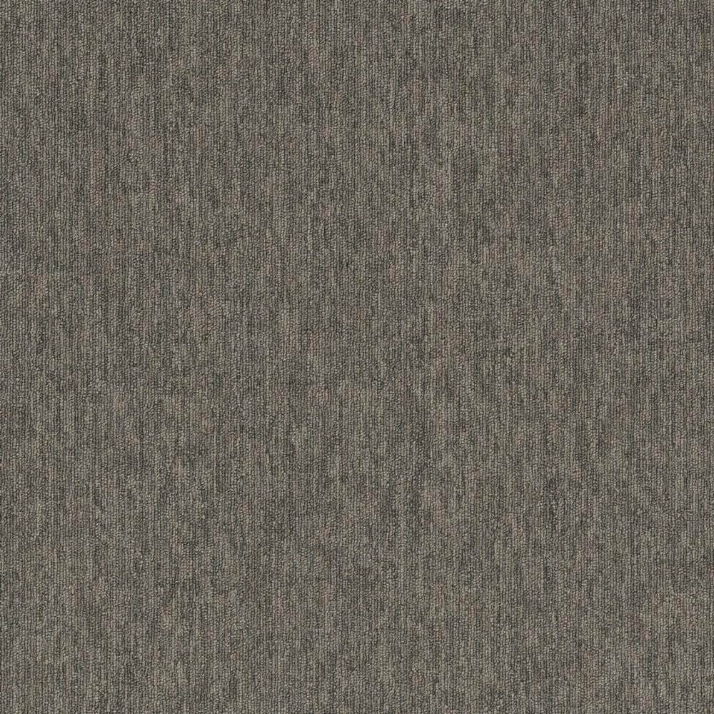 Chase - Mascot - Brown Commercial/Residential 24 x 24 in. Glue-Down Carpet Tile Square (72 sq. ft.) price history on PriceWatchPro