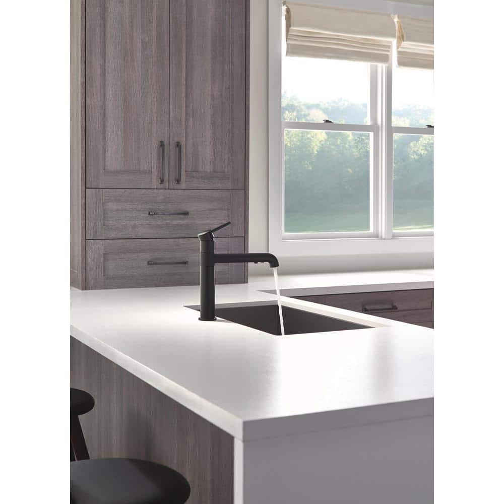 Matte Black Stainless Steel Pull-Out Spray Kitchen Faucet