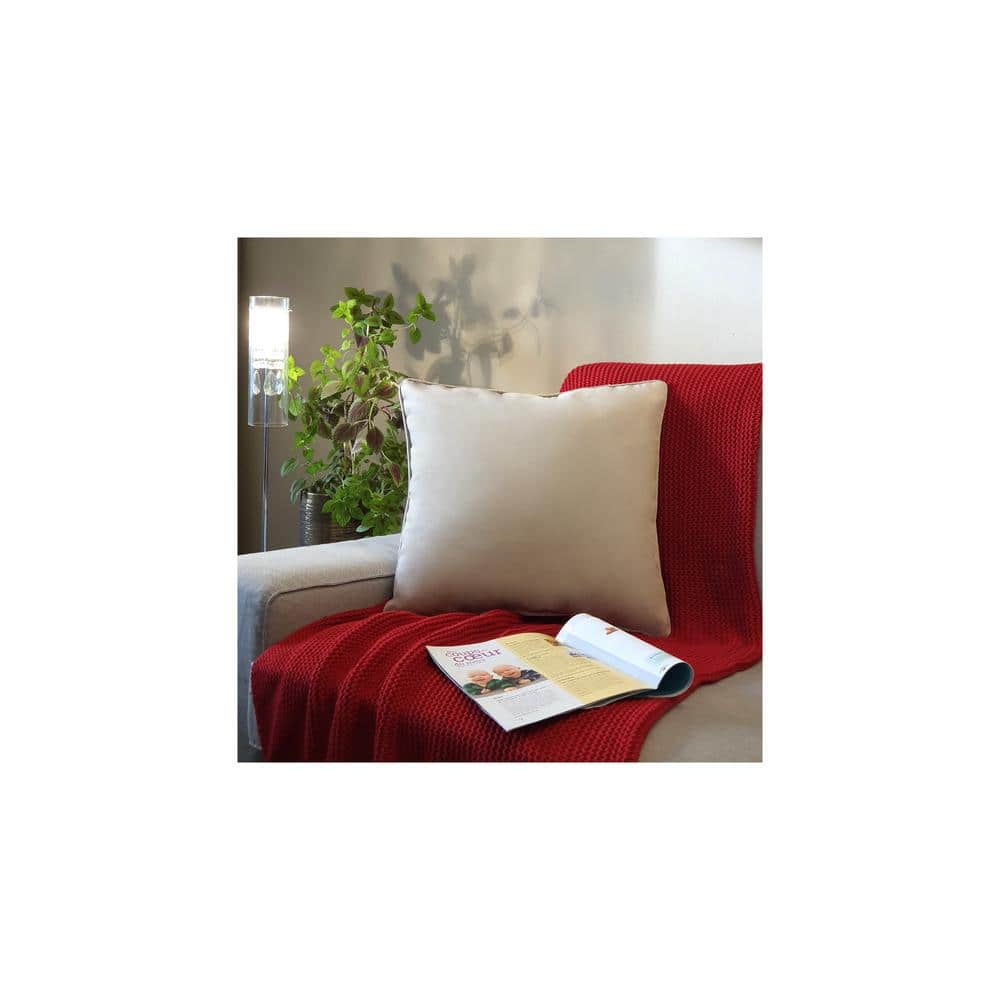 Oyster Beige Velvet Square Decorative Throw Pillow 20 x 20