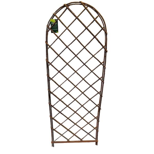 MGP 48 in. H Willow Arc Top Full Trellis