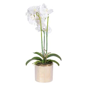 White/Gold Artificial Stripe Potted Orchid