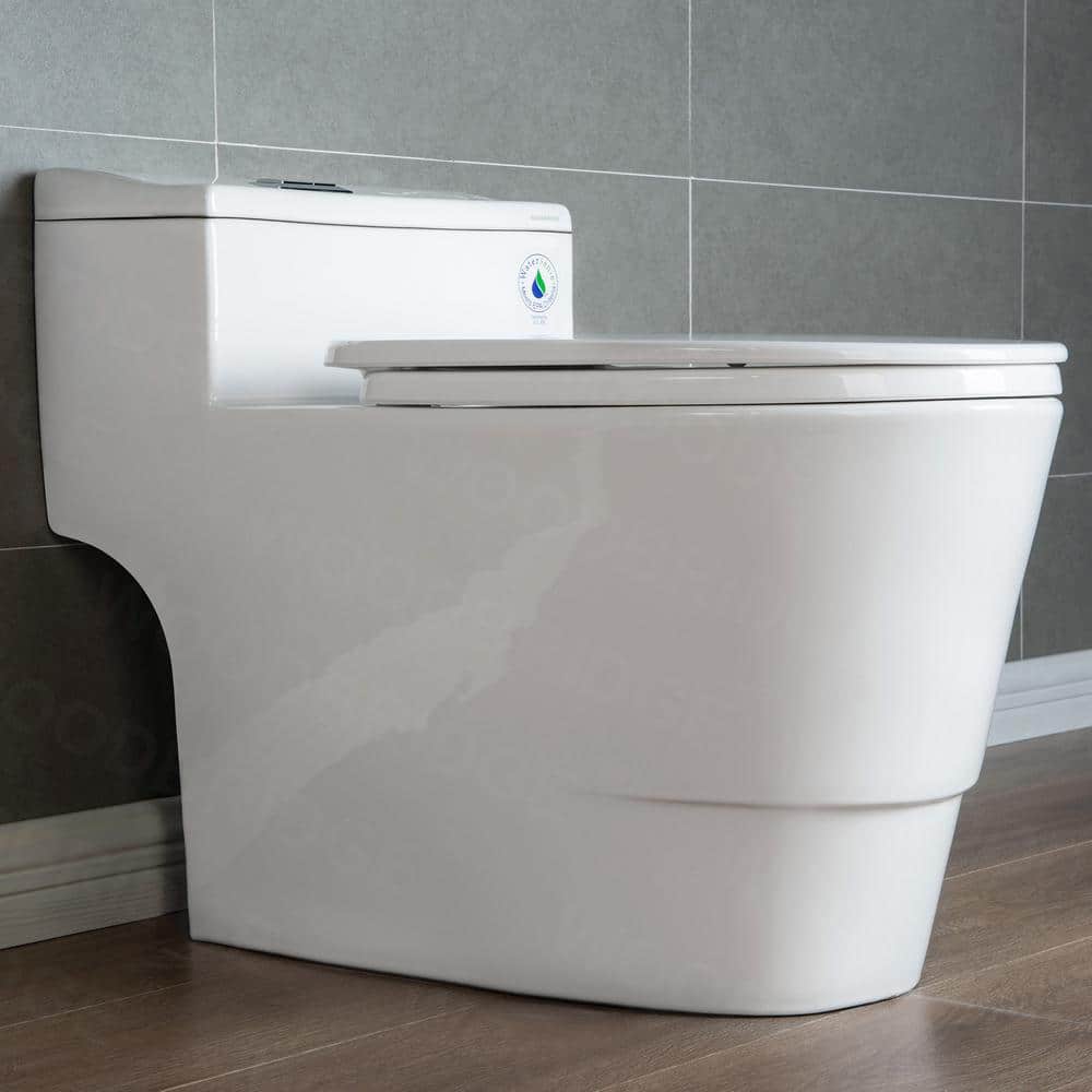 White Ceramic One-Piece Dual Flush Toilet with Chrome Button