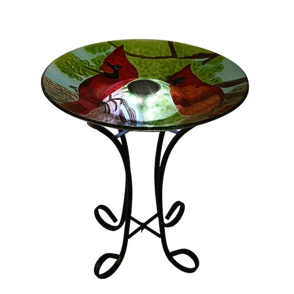 HI-LINE GIFT LTD. 18 in. Solar Cardinal LED Floral Glass Bird Bath with Stand