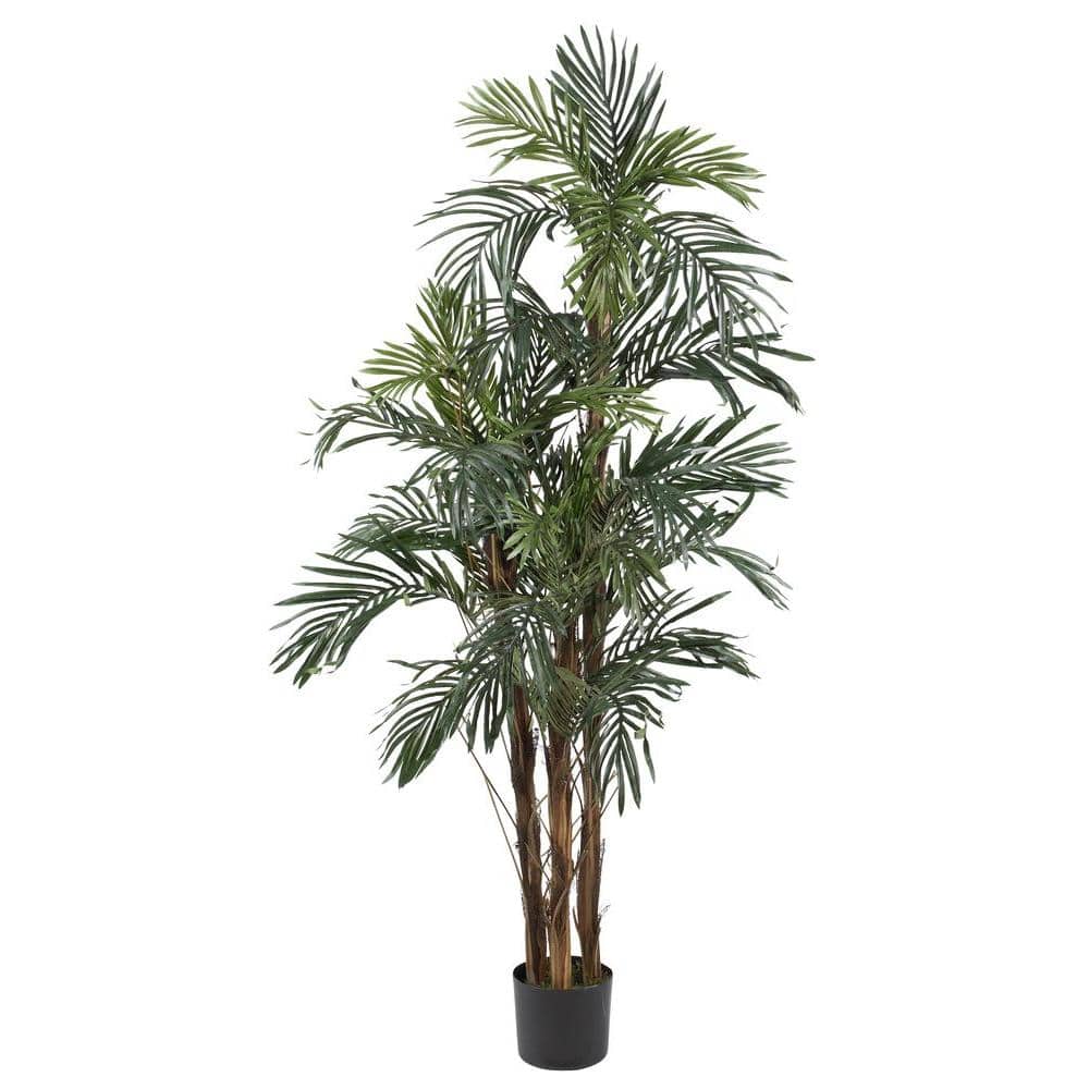 63" Green Silk Robellini Palm Tree in Black Pot