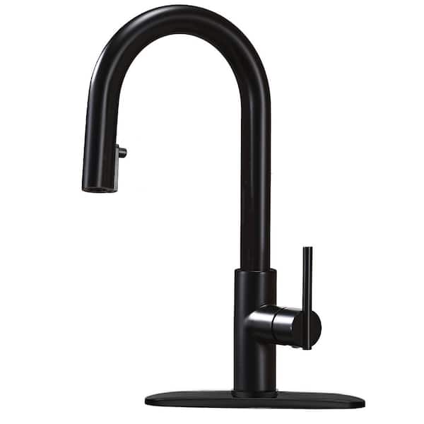 Single Handle Pull Down Sprayer Kitchen Faucet with 2-Mode Sweep/Spray in Stainless Steel Matte Black Finished