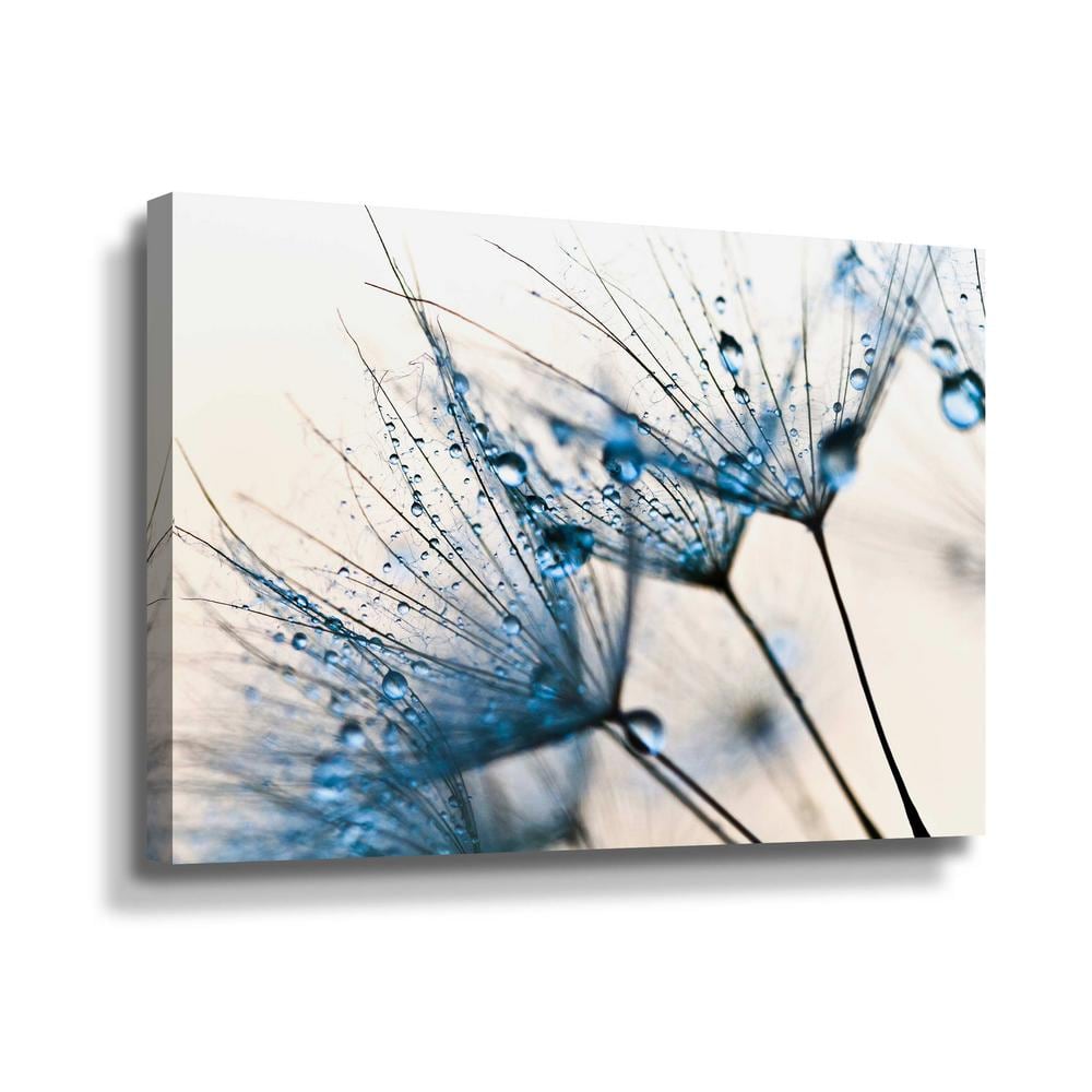 ArtWall Mystic Blue' by PhotoINC Studio Canvas Wall Art 5pst225a3248w ...