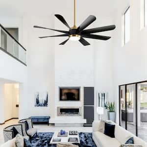 Hector 60 in. Integrated LED Indoor Black-Blade Gold Ceiling Fan with Light and Remote Control Included
