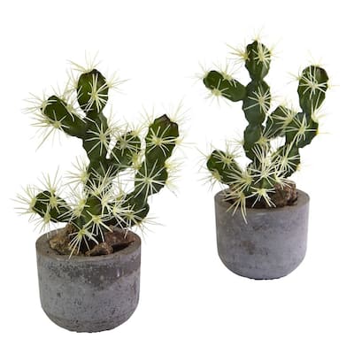 10 in. Cactus Potted (Set of 2)