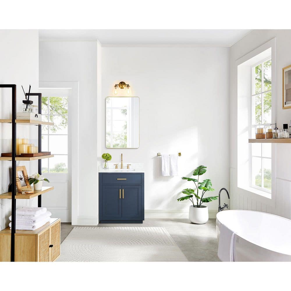 Gavino 30 in. W x 22 in. D x 34 in. H Single Sink Bath Vanity in Royal Blue with White Composite Stone Top and Mirror price history on PriceWatchPro