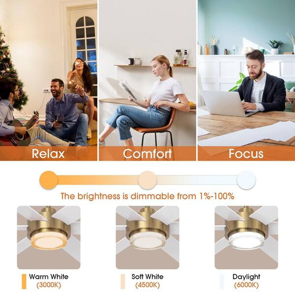 Parrot Uncle 54 in. Indoor Integrated LED Gold Dimmable