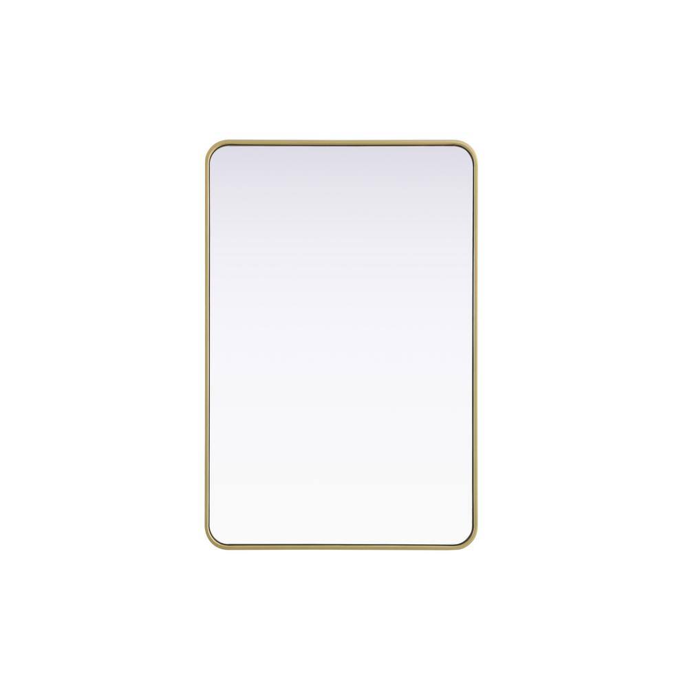 Timeless Home Brass 28 in. W x 42 in. H Contour Wall Mirror