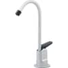 Single-Handle Water Filtration Faucet in Chrome for Filtration Systems