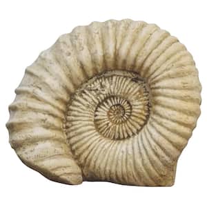 13 in. Fossil in a Fossil Color