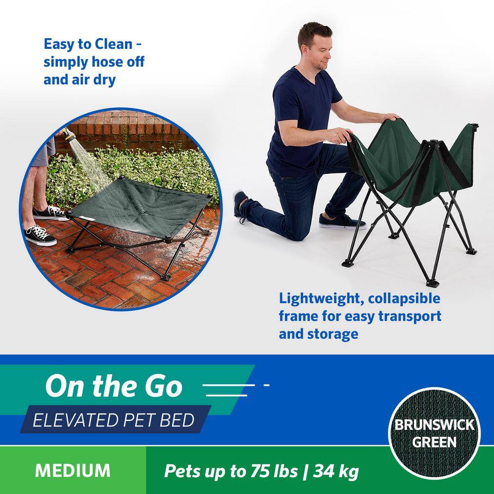 Medium Green Elevated Folding Pet Bed with Steel Frame