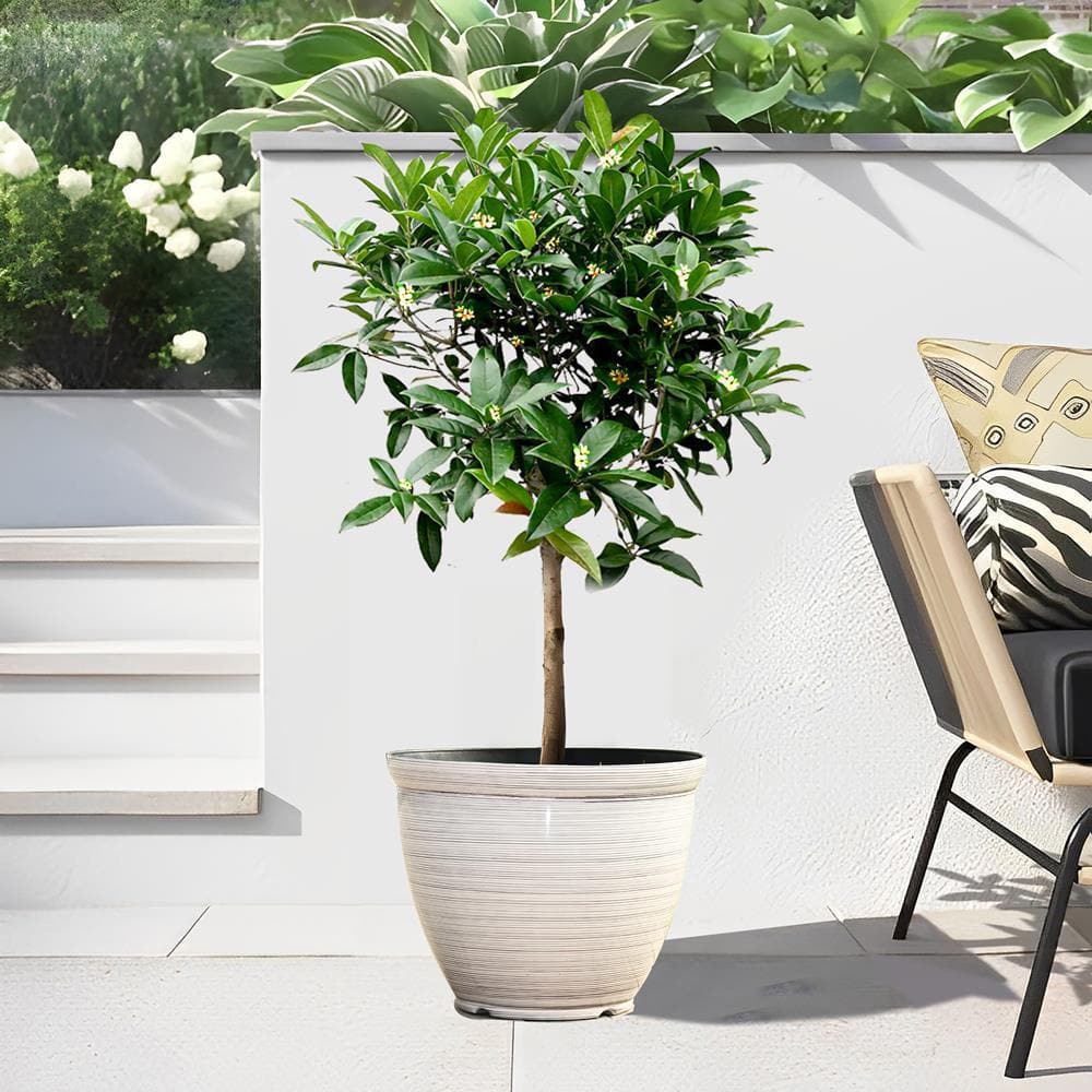 Ivory White Round Recycled Plastic Indoor/Outdoor Planter