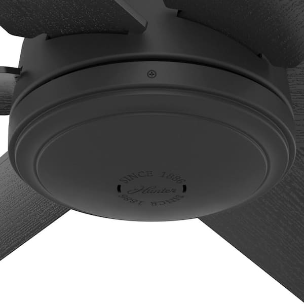 Hunter - Jetty 52 in. Outdoor Matte Black Ceiling Fan with Wall Control For Patios or Bedrooms