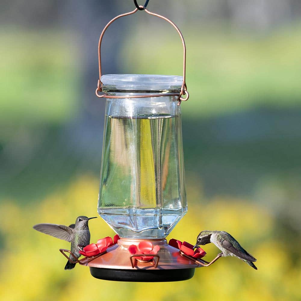 Bronze Glass Hanging Hummingbird Feeder with Red Ports