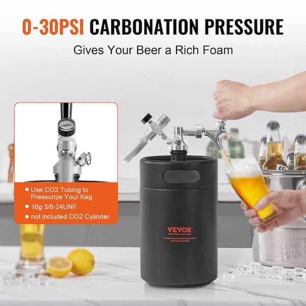 SuperHandy Mini Beer Keg & Growler with Insulation, Precise Pressure, 170oz  - Keeps Beer Fresh for 48 Hours