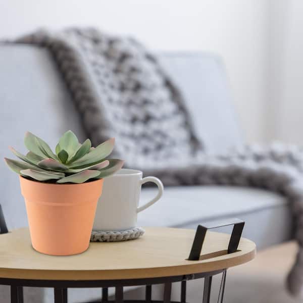 NATURAE DECOR ARTIFICIAL 7 in. SUCCULENT ECHEVERIA IN TERRACOTTA POT